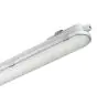 Philips LED Feuchtraumleuchte CoreLine WT120C G2 68W 8000lm - 840  | 150cm 